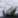春