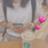 SHISHAMO