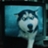 黒犬